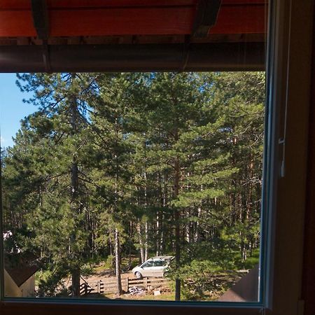 Zavicaj Apartmani3 Zaovine Kültér fotó